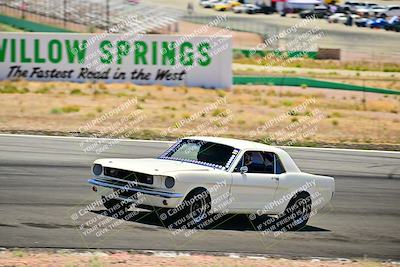 media/May-10-2025-Cobra Club (Sat) [[7b9c5022b1]]/Passenger/